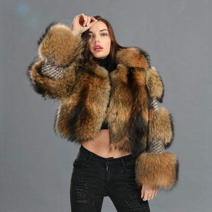 New Design Warm Thick Cashmere Raccoon Fur Collar Regular Length For Women